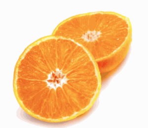 Cagette Tacle  Bio 6 kg